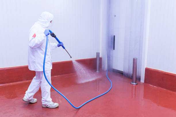 Animal Enclosure Cleaning in White Sulphur Springs, WV