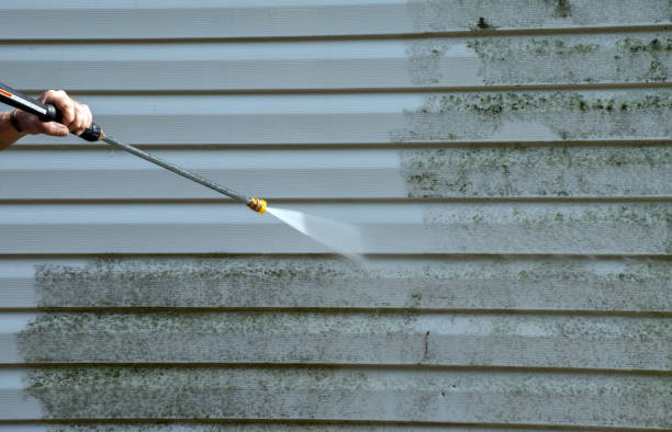 Best Factory Floor Cleaning  in White Sulphur Springs, WV